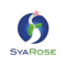 syarose-technology-services