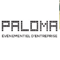 paloma-event-agency