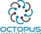 octopus-computer-solutions