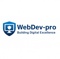 webdev-pro