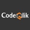 codeqlik-it-solutions