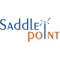 saddle-point-technologies