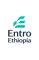 entro-ethiopia-software-hardware-development-plc