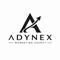 adynex-digital-marketing-agency-gurgaon