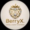 berryx-systems