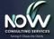 now-consulting-services