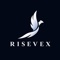 risevex-digital-marketing-agency