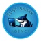 busyshark-agency