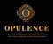 opulence-accounting-bookkeeping