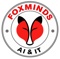 foxminds-solutions