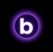 burnesseo