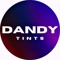 dandy-tints-window-tinting-services