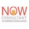 now-expert-tax-consultant