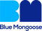 blue-mongoose