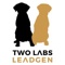 two-labs-leadgen