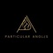 particular-angles