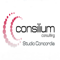 consilium-consulting-concordia-studio