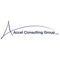 accel-consulting-group