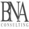 bna-consulting-services
