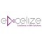 excelize-software