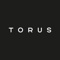 torus