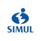 simul-international