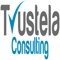 trustela-consulting-digital-marketing-agency-florida-usa