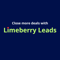 limeberry-leads