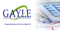 gayle-accounting-tax-consulting