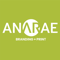 anarae-design-group