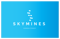 skymines-digital-marketing-consultancy