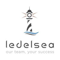 ledelsea