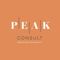 peak-consult
