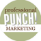 professional-punch