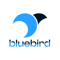 bluebird-digital