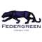 federgreen-consulting