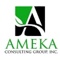 ameka-consulting-group