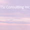 tsj-consulting