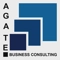 agate-business-consulting