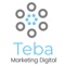 teba-marketing-digital