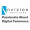 nvizion-solutions