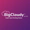 bigcloudy-internt-services