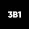 3b1