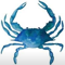 blue-crab-connect