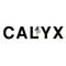 calyx-design-group-landscape-architecture