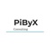 pibyx-consulting