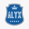 alyx-custom-software