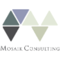 mosaik-consulting