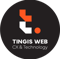 tingis-web-customer-experience-cx-agency-software-development-digital-marketing