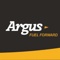 argus-consulting-0